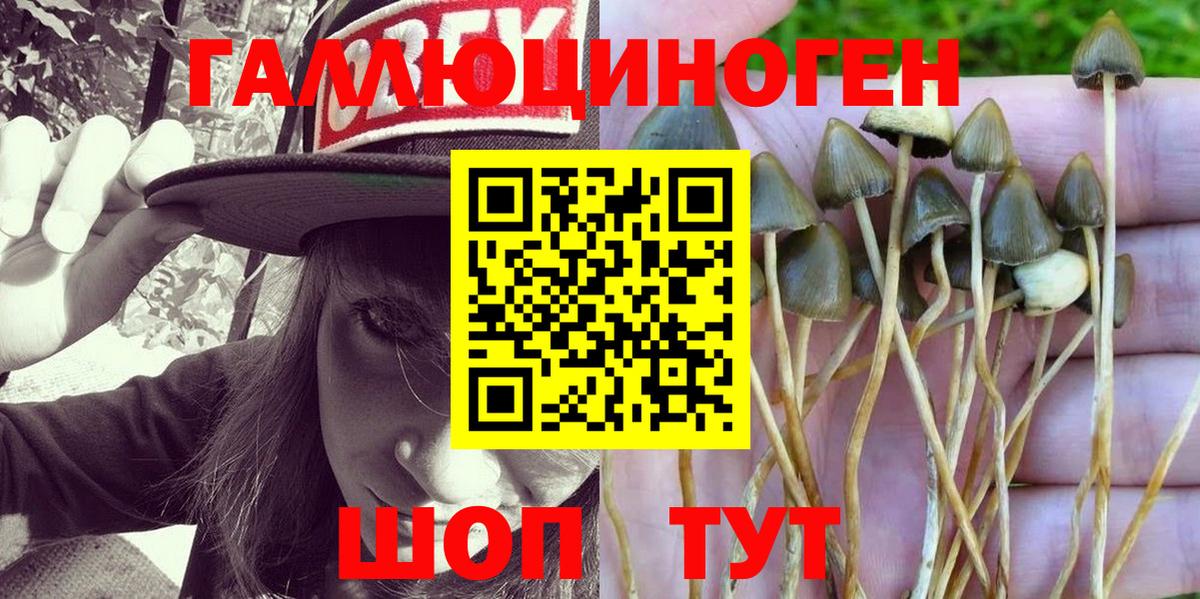 Псилоцибиновые грибы MAGIC MUSHROOMS Соль-Илецк
