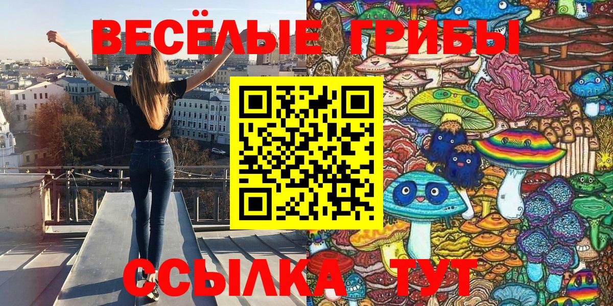 Соль-Илецк  Псилоцибиновые грибы мухоморы  Вход с VPN 